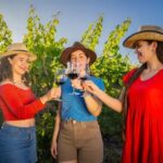 La Provincia invita a subirse al Bus de la Ruta del Vino